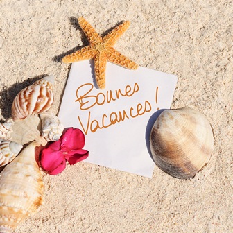 Blank paper beach sand starfish shells summer
