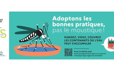 Les Moustiques tigres…